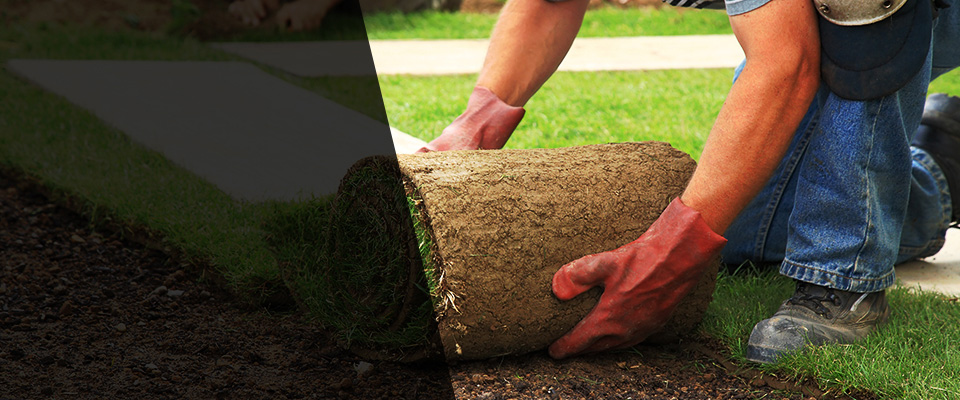 Rising Sun Landscapers